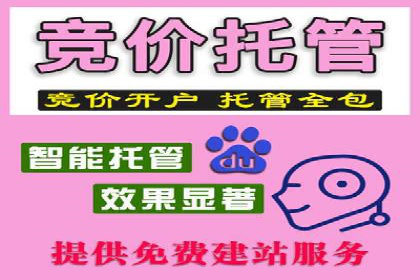 搜索引擎营销（SEM）成功运营的五大案例
